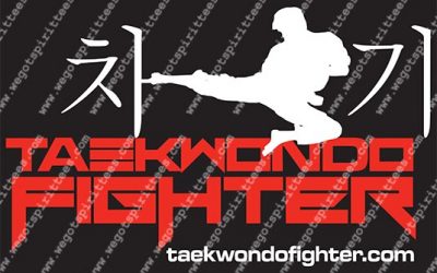Taekwondo T Shirt 505