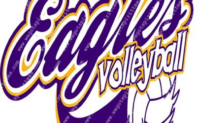 Volleyball T Shirt 453