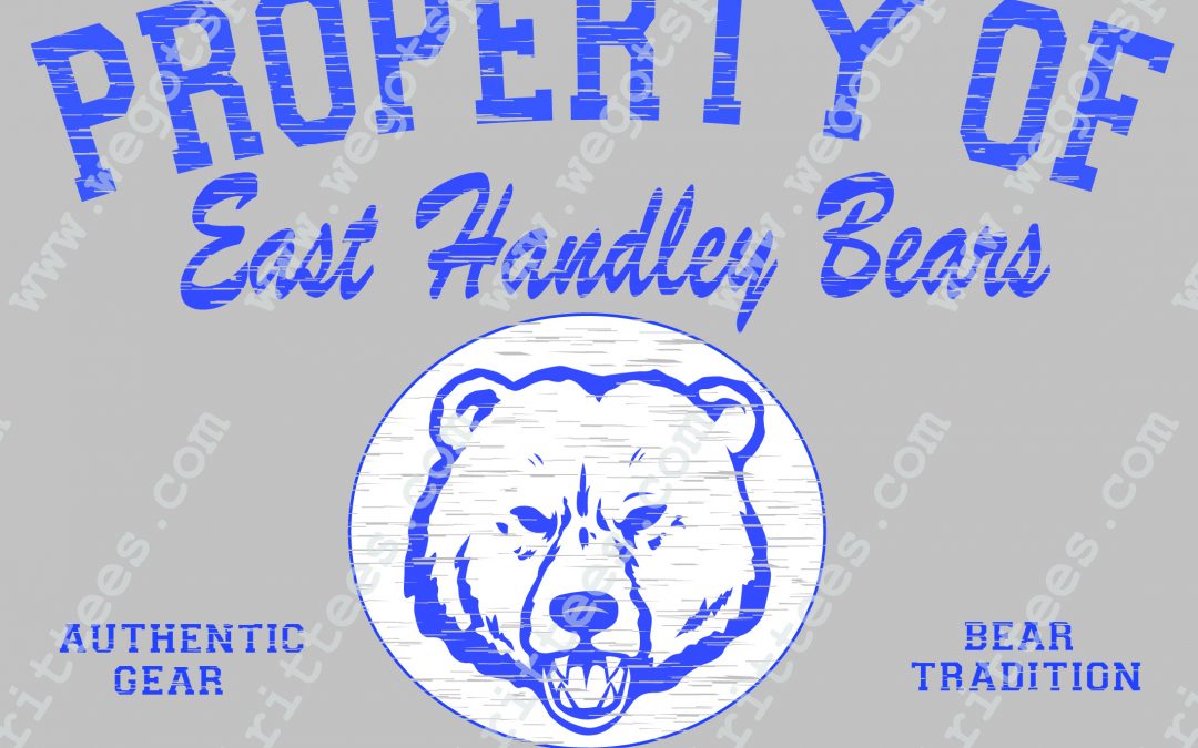 Elementary Spirit T Shirt 501