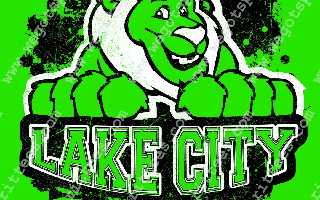 Elementary Spirit T Shirt 513