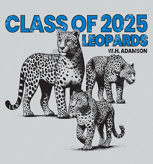 Middle & High School Spirit T Shirt 796