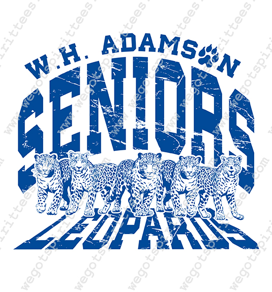 Senior T Shirt 553
